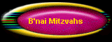 B'nai Mitzvahs